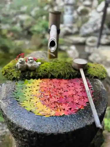 柳谷観音　楊谷寺(京都府)