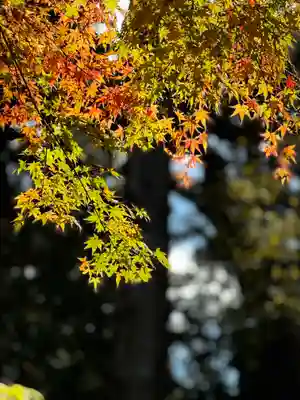 新海三社神社(長野県)