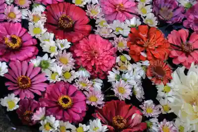 大鏑神社の手水舎