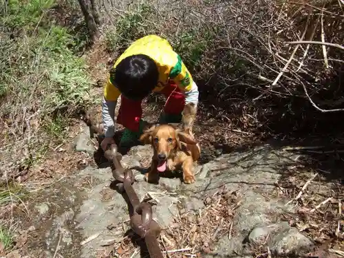 蔵王権現社(高知県)