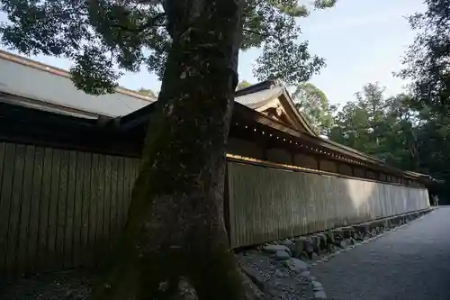 伊勢神宮外宮（豊受大神宮）の自然