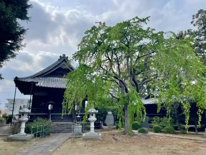 大正寺の{uncategorized: "未分類", other: "その他", undefined: "問題あり", building: "その他建物", grave: "お墓", sacred_gate: "鳥居", guardian: "狛犬", statue: "像", buddha: "仏像", history: "歴史", nature: "自然", garden: "庭園", animal: "動物", pagoda: "塔", temizu: "手水舎", mountain_gate: "山門・神門", sanctuary: "本殿・本堂", subordinate: "末社・摂社", art: "芸術", scenery: "景色", jizo: "地蔵", ema: "絵馬", goshuin: "御朱印", omikuji: "おみくじ", items: "授与品その他", amulet: "お守り", goshuincho: "御朱印帳", eats: "食事", festival: "お祭り", votive_dance: "神楽", shichigosan: "七五三参", wedding: "結婚式", experience: "体験その他", initially: "初詣", around: "周辺", anti_infection: "感染症対策"}