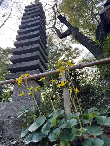 石清水八幡宮(京都府)