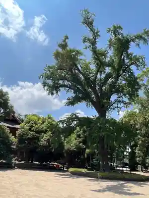 飯香岡八幡宮(千葉県)
