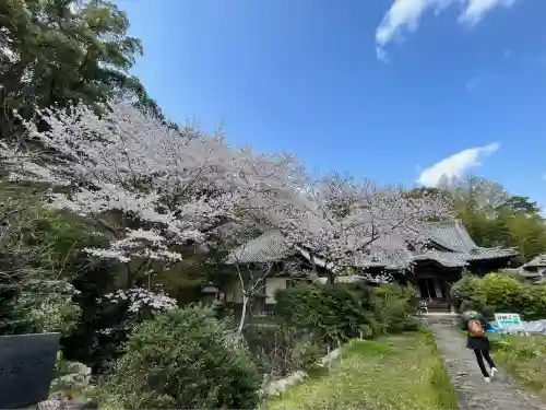 十禅律院(和歌山県)