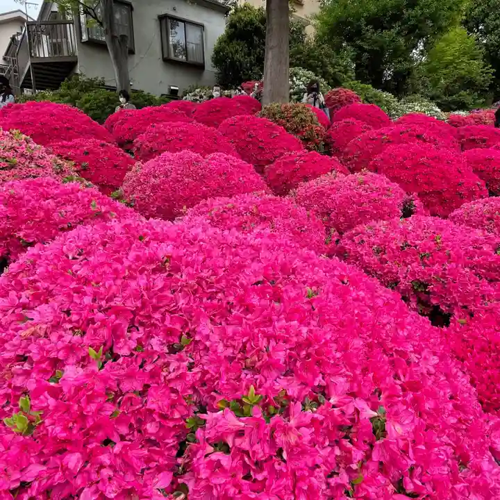 根津神社(東京都)
