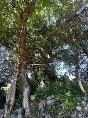 七社神社の{uncategorized: "未分類", other: "その他", undefined: "問題あり", building: "その他建物", grave: "お墓", sacred_gate: "鳥居", guardian: "狛犬", statue: "像", buddha: "仏像", history: "歴史", nature: "自然", garden: "庭園", animal: "動物", pagoda: "塔", temizu: "手水舎", mountain_gate: "山門・神門", sanctuary: "本殿・本堂", subordinate: "末社・摂社", art: "芸術", scenery: "景色", jizo: "地蔵", ema: "絵馬", goshuin: "御朱印", omikuji: "おみくじ", items: "授与品その他", amulet: "お守り", goshuincho: "御朱印帳", eats: "食事", festival: "お祭り", votive_dance: "神楽", shichigosan: "七五三参", wedding: "結婚式", experience: "体験その他", initially: "初詣", around: "周辺", anti_infection: "感染症対策"}