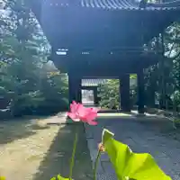 伊勢の国 四天王寺(三重県)
