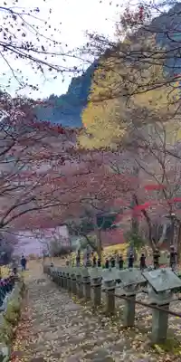 大山寺(神奈川県)