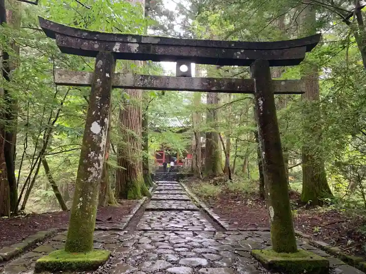 瀧尾神社(日光二荒山神社別宮)の鳥居