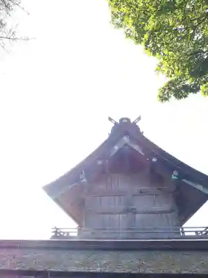 出雲大社(島根県)