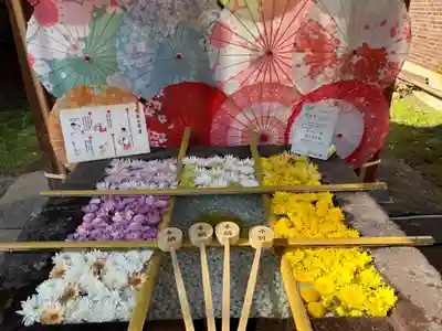 土津神社｜こどもと出世の神さま(福島県)