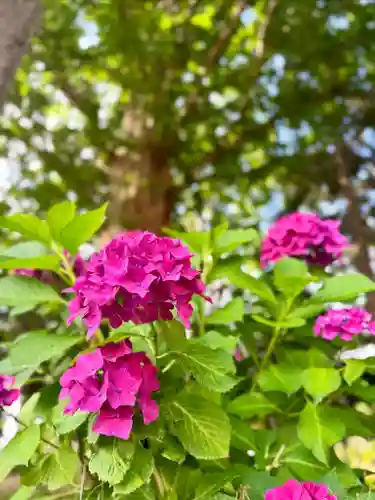 伊達神社(北海道)