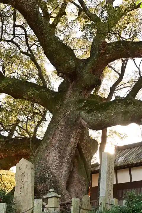 天満神社(愛媛県)