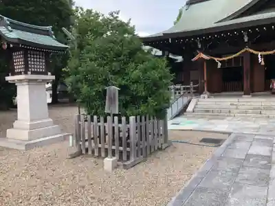 伴林氏神社(大阪府)