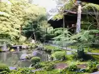 蓮華寺(洛北蓮華寺)の庭園