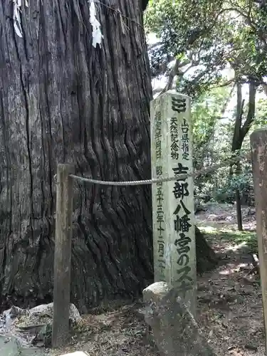 吉部八幡宮の建物その他