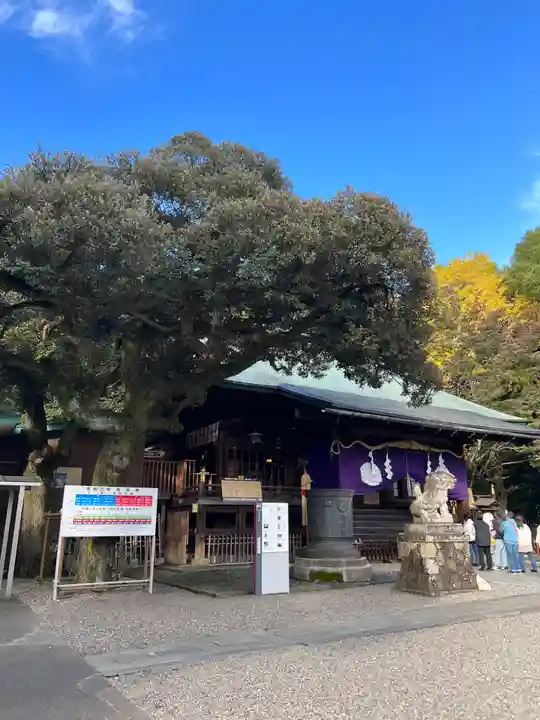宇都宮二荒山神社(栃木県)