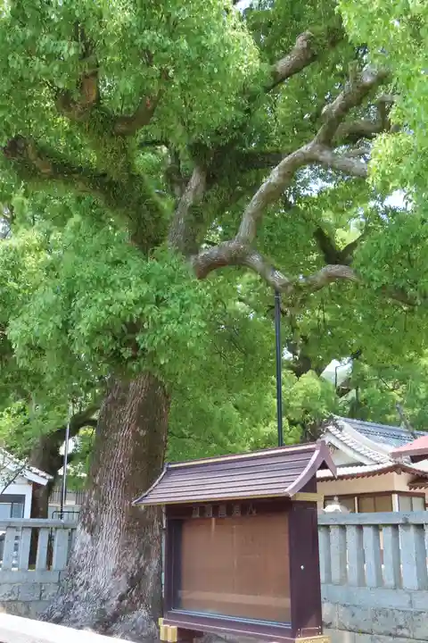 八岩華神社の自然