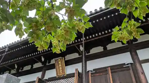 くろ谷 金戒光明寺(京都府)