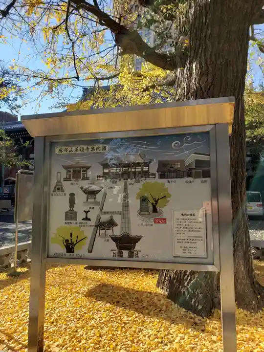 善福寺(東京都)