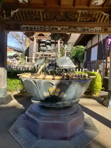 新井薬師（梅照院）の手水舎