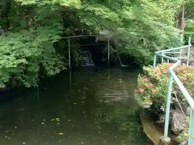 新橋浅間神社(静岡県)