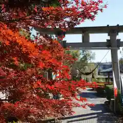 滑川神社 - 仕事と子どもの守り神の自然