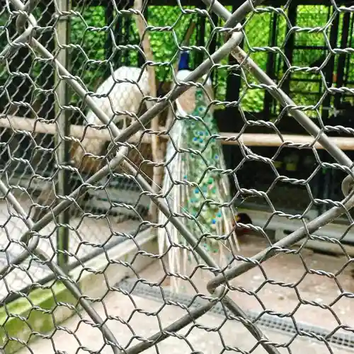 楽法寺（雨引観音）(茨城県)