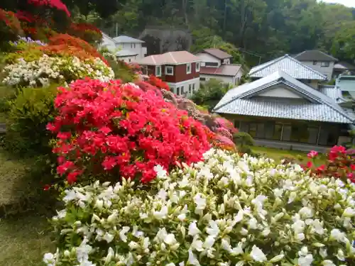 仏行寺（佛行寺）の庭園