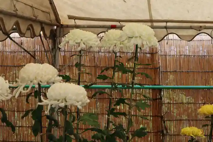 高麗神社のその他建物