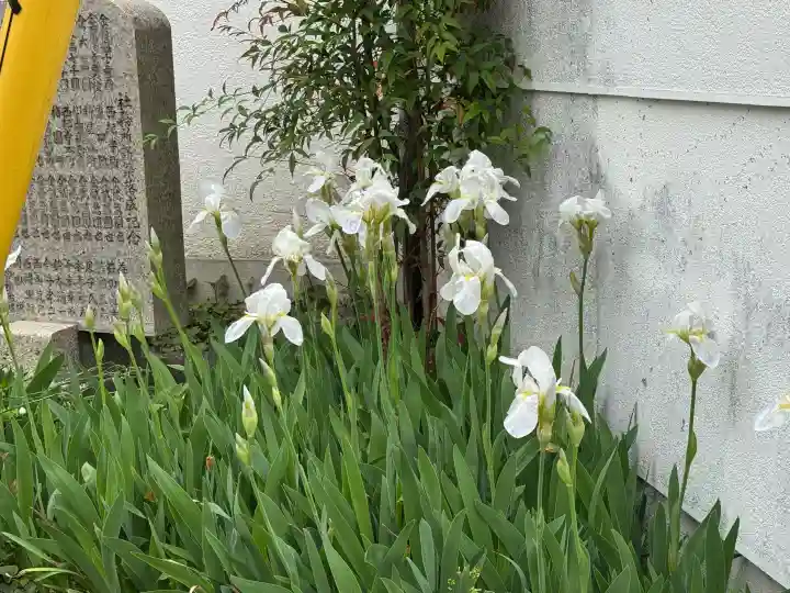 崇道天皇社の{uncategorized: "未分類", other: "その他", undefined: "問題あり", building: "その他建物", grave: "お墓", sacred_gate: "鳥居", guardian: "狛犬", statue: "像", buddha: "仏像", history: "歴史", nature: "自然", garden: "庭園", animal: "動物", pagoda: "塔", temizu: "手水舎", mountain_gate: "山門・神門", sanctuary: "本殿・本堂", subordinate: "末社・摂社", art: "芸術", scenery: "景色", jizo: "地蔵", ema: "絵馬", goshuin: "御朱印", omikuji: "おみくじ", items: "授与品その他", amulet: "お守り", goshuincho: "御朱印帳", eats: "食事", festival: "お祭り", votive_dance: "神楽", shichigosan: "七五三参", wedding: "結婚式", experience: "体験その他", initially: "初詣", around: "周辺", anti_infection: "感染症対策"}