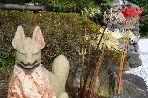 東京羽田 穴守稲荷神社(東京都)