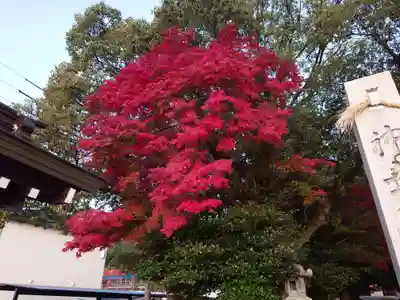 速谷神社(広島県)