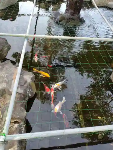 住吉神社(山梨県)