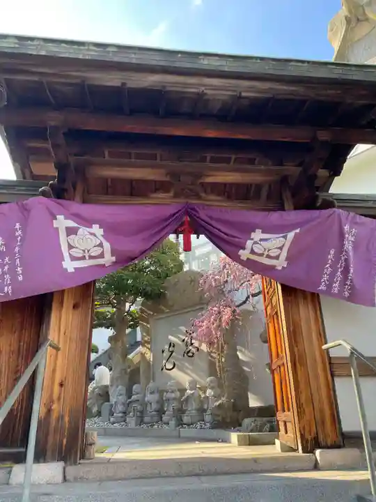 本壽寺(本寿寺)(兵庫県)