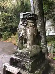 宇佐八幡神社の狛犬