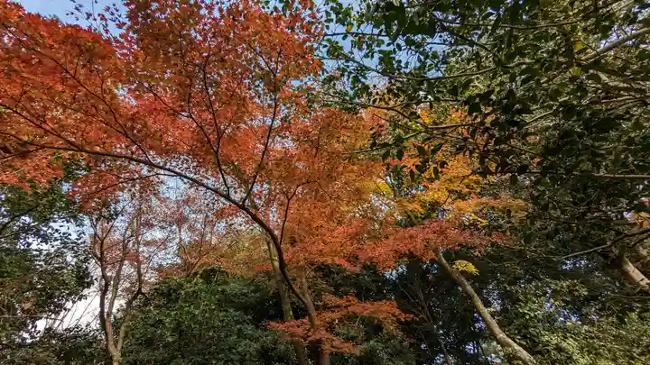 法金剛院(京都府)