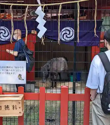 神田神社（神田明神）(東京都)