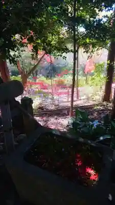 玉野御嶽神社の手水舎