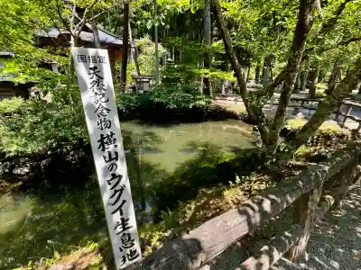 大徳寺(宮城県)