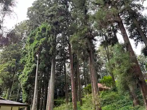 大宮温泉神社(栃木県)