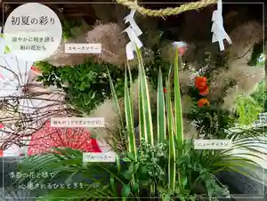 三津厳島神社(愛媛県)(2026年06月09日(火) 13時24分40秒投稿)