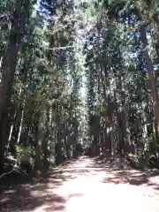 名草厳島神社の自然