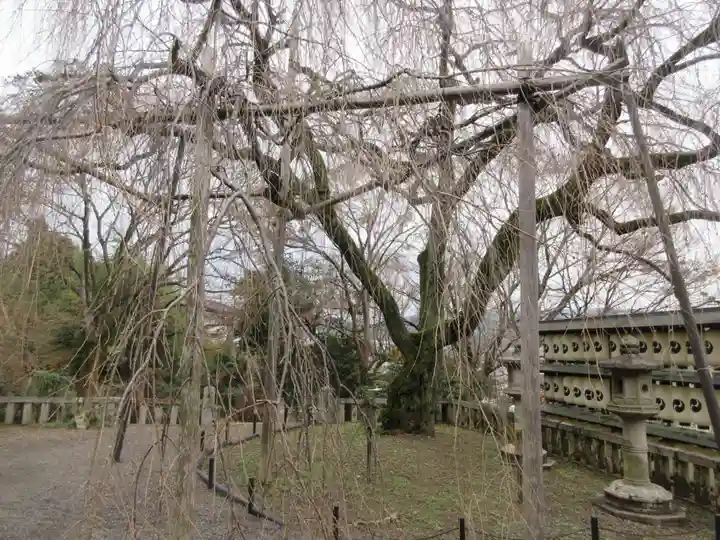 大石神社(京都府)