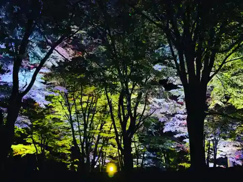 土津神社｜こどもと出世の神さまの景色