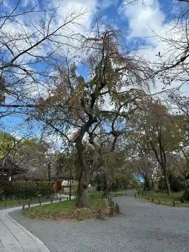 平野神社(京都府)