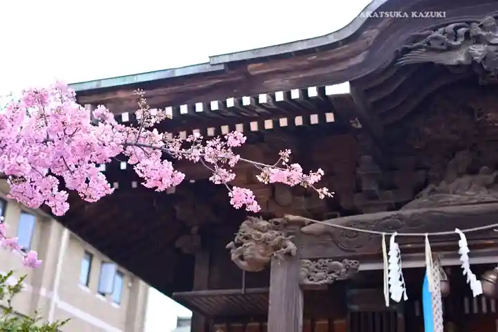 桜神宮(東京都)