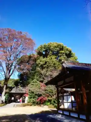 阿佐ヶ谷神明宮(東京都)