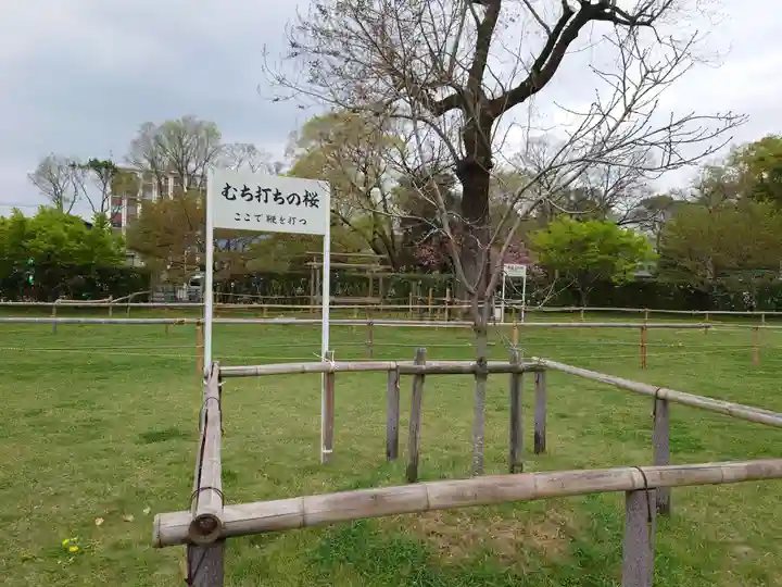 賀茂別雷神社(上賀茂神社)の自然